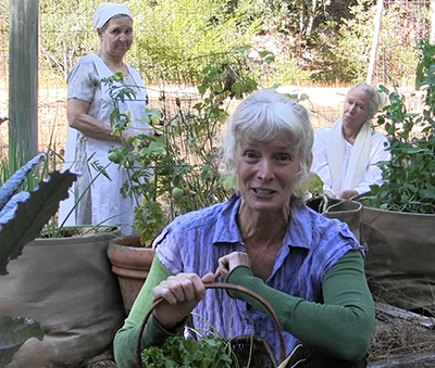 Turtle Shopping - three women picking garden vegetables