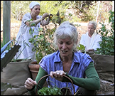 still of women picking vegetables in garden